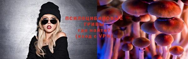 мяу мяу мука Абдулино
