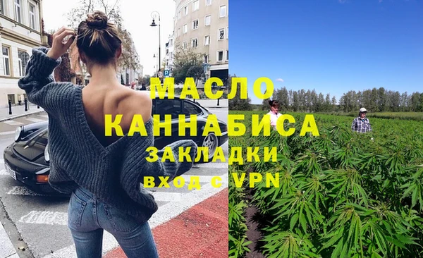 гидра Абаза