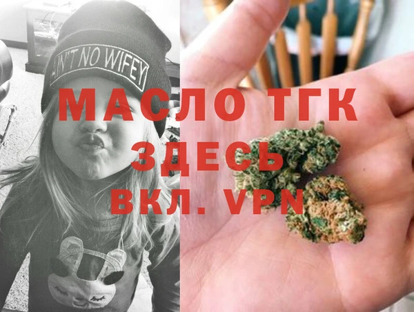гидра Абаза