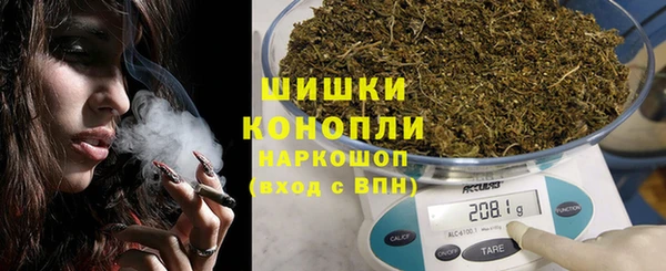гидра Абаза