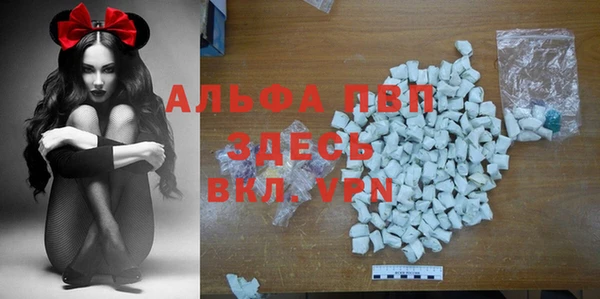 гидра Абаза